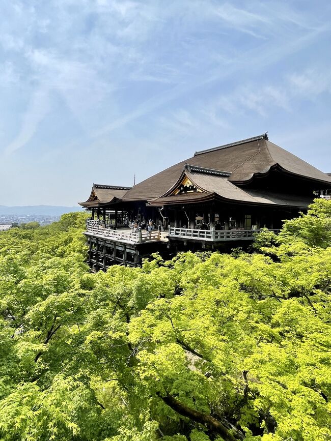 どこかに旅行に行きたい私と、奈良好きの友達が話し合って決めた行き先は、奈良に行ってふふ奈良に泊まる事でした！<br />折角、東京から奈良に行くので、最低でも2泊はしたいね！と言うことで、2泊3日の旅をしました。<br />帰りは少し京都に寄って、京都も堪能。<br />とても満足のいく旅になりました♡