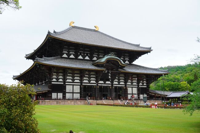 GW前半に連休が取れました。<br />後半の連休に旅行を計画済みだったので、街めぐりができるところ。<br />ちょうど奈良が5000円引きクーポンを出していましたので急遽奈良を計画。<br /><br />仕事を終えて夜、関空から奈良入り。<br />2日目から観光。あいにくの天気で午後は台風並みの雨でした。。<br /><br />4/28 JAL229 羽田20:55-関空22:10<br />4/30 JAL130 伊丹18:35-羽田19:45<br /><br />4/28 ホテルアジール奈良 セミダブル素泊まり <br />4/29 ダイワロイネットホテル奈良 スタンダードダブル朝食付き 12時レイトチェックアウト<br /> <br />