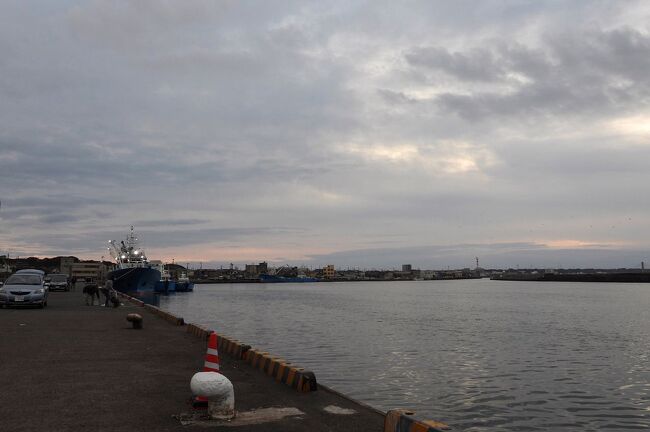 　銚子市の君ヶ浜でバードウォッチングをした帰りに、銚子漁港にも立ち寄りバードウォッチングを楽しみました。<br /><br />表紙写真は、銚子漁港の風景です。<br />