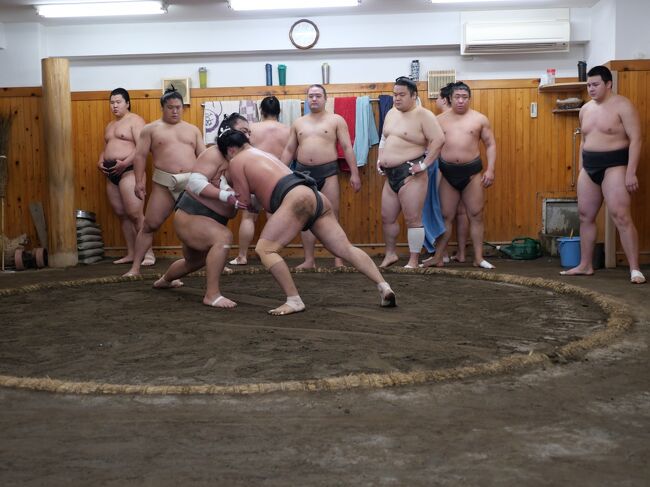 例年のこの時期は、年に一度の一般公開での稽古総見が両国国技館で開催されるがコロナ禍の影響で3年連続で中止になったので3月場所(大阪場所)で優勝した若景隆が所属する「荒汐部屋の朝稽古」を訪れてみた。その後、春の隅田川テラスにも足を運んでみた。<br />※多くの相撲部屋を巡ったことがあるが稽古風景が見られるのはこの荒汐部屋だけでコロナ前はたくさんの訪日客が訪れていた。<br />(稽古見学の案内 http://arashio.net/tour.html)