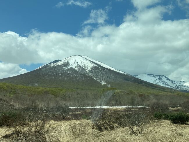 ゴールデンウィークに秋田県、青森県に行った旅行記です。<br /><br />今回のメインテーマは、次のとおりです。<br />①星野リゾート奥入瀬渓流ホテルに泊まること。<br />②リゾートしらかみに乗ること。<br />③青森県立美術館に行くこと。<br /><br />5日目は、星野リゾート奥入瀬渓流ホテルから青森市を経由して羽田まで帰った記録です。