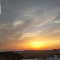 久しぶりの遠出、でもチバだけど(*´ω｀*)人気の海山も牧場•村にも行かない旅行備忘録になったのだ！