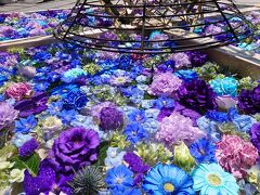GWの長野花の祭典「善光寺花回廊-ながの花フェスタ」へ
