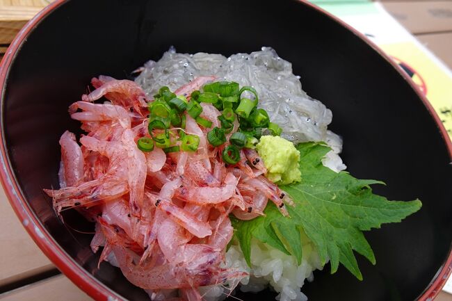 桜を追ってドライブして食べての周遊旅②　浜松～牧野が原～日本平～富士川～圏央道～東北道～宇都宮　2022.3.4　3泊4日　2日目