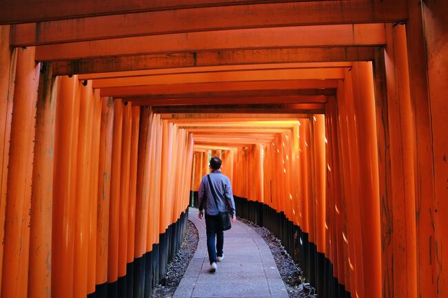 学生時代の「団体・決められた旅」を経て、大人になった今、自分で選んで味わう京都をもう一度。<br />今回は、時代にこだわって巡ってみることに。<br />そんな気持ちで改めて京都を旅してみると、違って見えてきた。<br />第1弾は、平安京遷都以前からの歴史を持つ伏見稲荷大社から。