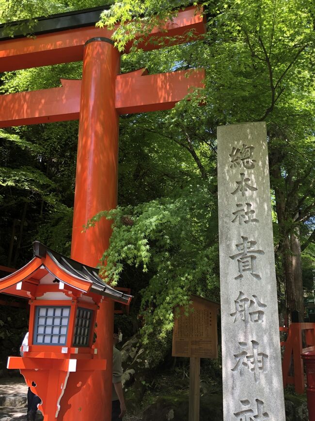 3年ぶりに何の規制もないG.W.突入!<br />神戸長期出張中の嫁さん訪ねて、まだまだ関西方面プチ観光&グルメを楽しみます(^_^)<br /><br />今回はプチ観光編は4編、グルメ編も4編アップ予定です。<br /><br />移動日翌日から、先ずは京都の貴船で川床ランチを楽しんで、鞍馬山を走破します!<br />