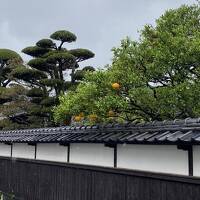 萩。雨でした。