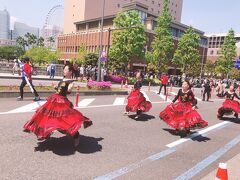横浜パレードを見に行った。