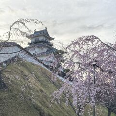 花盛りの静岡・愛知・三重・滋賀、春の旧東海道を行く(その1・興津と掛川)