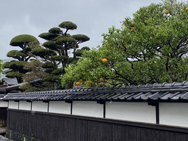 萩。雨でした。