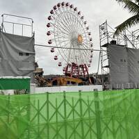 どこかにマイルで念願の沖縄本島へ 美ら海水族館は広かった！ 出発から2日目まで