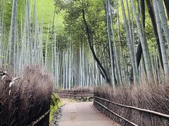 京都に住みながらオタ活をする旅10・嵯峨嵐山編
