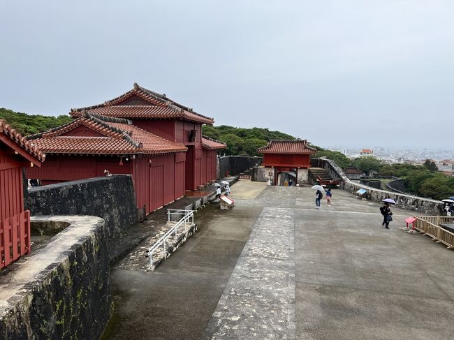 JALのどこかにマイルは本島に希望するところへ行ける保証はないものの、GWにも利用できるので今年も利用させて頂きました!<br /><br />沖縄本島へは首里城焼失前から訪れてみたいと思っていました。どこかにマイルで念願の沖縄へ行くことができました。<br /><br />3日目は首里城・おきなわワールドコースを訪れる下記タイムスケジュールのバスツアーに参加しました。<br /> 9:00 定期観光事務所より出発<br /> 9:30 首里城公園<br /> ※首里城公園:守礼之門・園比屋武御嶽・歓会門(見学50分) <br /> 10:50 おきなわワールド(見学昼食込み150分)<br /> 13:35 平和の礎(見学30分)<br /> 14:10 ひめゆりの塔(見学30分)<br /> 14:50 道の駅いとまん(見学30分)<br /> 16:00 定期観光事務所着