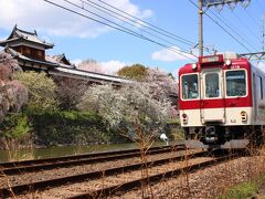 郡山城址の桜を求めて