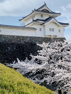 春の甲府へ1泊2日週末旅-1