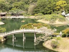 シニアがレンタカーで行く四国一周の旅　　　三日目　トリュフ・フォアグラ・ウニにだまされた！