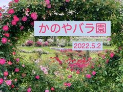 「 かのやバラ園 」から「 吾平山上陵 」へ