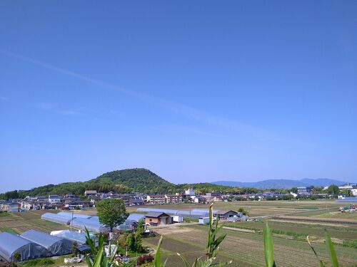 恐るべし大和朝廷!新沢千塚古墳群公園』橿原(奈良県)の旅行記 恐るべし大和朝廷!新沢千塚古墳群公園』橿原(奈良県)の旅行記