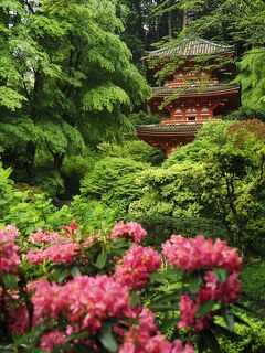 2022年春 奈良の花と新緑撮影旅行１０