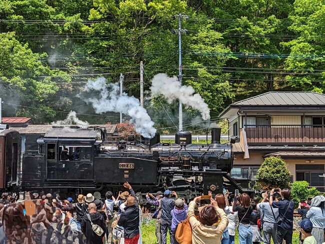 前日、部屋の中の大掃除をやっていたら一日がかりとなってしまい・・・(苦笑)<br />気疲れして晩酌もせずに早々と就寝してしまったら、翌朝は休日なのにミョーに早い時間に目が覚めてしまった(笑)。<br /><br />空は朝から雲一つない快晴。<br />世の中は３年ぶりの「何一つ規制のないゴールデンウイーク」！<br />どこかへ出かけたい病(笑)の衝動に敗け、急遽思い立って出かけてみることにした。