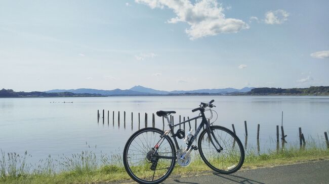 霞ヶ浦でサイクリングとひたち海浜公園にネモフィラを見に行きました。