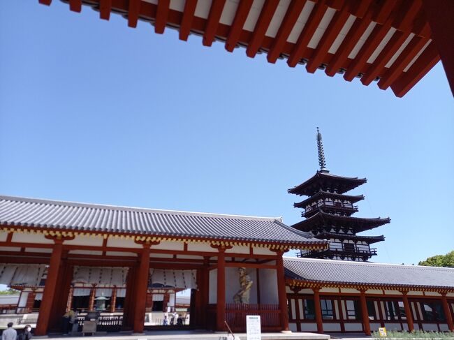 GW前半に連休が取れました。<br />後半の連休に旅行を計画済みだったので、街めぐりができるところ。<br />ちょうど奈良が5000円引きクーポンを出していましたので急遽奈良を計画。<br /><br />仕事を終えて夜、関空から奈良入り。<br />2日目から観光。あいにくの天気で午後は台風並みの雨でした。。<br />3日目はバスとチェアバイクで世界遺産めぐり<br /><br />4/28 JAL229 羽田20:55-関空22:10<br />4/30 JAL130 伊丹18:35-羽田19:45<br /><br />4/28 ホテルアジール奈良 セミダブル素泊まり <br />4/29 ダイワロイネットホテル奈良 スタンダードダブル朝食付き 12時レイトチェックアウト