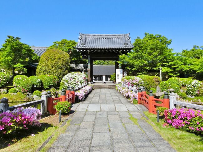 江戸時代、「雪月花の三庭苑」がありました。<br />妙満寺の塔頭　　　成就院　雪の庭<br />清水寺の塔頭　　　成就院　月の庭<br />北野天満宮の塔頭　成就院　花の庭<br /><br />『雪の庭』には雪が積もった時に見たいと思っていたのですが、<br />何度か雪が降ったもののタイミングが合わず、何年か過ぎました。<br />自然現象なので半ば諦めて、雪以外の綺麗な時期に何度か訪れていたら、<br />2023年1月に珍しくまとまった雪が積もり、『雪の庭』を見る事が<br />出来ました。<br /><br />すると、拝観不可の清水寺塔頭　成就院も、久しぶりに特別拝観されて<br />『月の庭』も見る事が出来ました。<br />明治以降、存在しなかった北野天満宮の『花の庭』は2022年春に<br />再興された時に見に行ったので、「雪月花の三庭苑」を全て<br />見る事が出来ました。<br /><br />今年は特に、撮り溜めてしまった同じような古い旅行記ばかりを<br />投稿したにもかかわらず、何度も暖かいコメントを寄せて下さり、<br />数々の『いいね』も頂き、ありがとうございました。m(__)m<br /><br />来年は、皆様の旅行記を通して知った素敵な場所へ<br />少しでも多く行きたいと思っていたのですが、<br />実家のワンコがリンパ腫に罹ってしまったので<br />様子を見ながら旅をしたいと思っています。<br /><br />今年も楽しい交流をありがとうございました。<br />来年も宜しくお願いします。<br />良いお年をお迎え下さい。(*^-^*)<br /><br />　　ポテ<br />