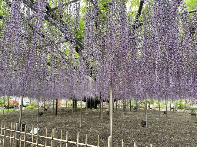 2年前から計画していたこの旅。コロナでずっと延期していましたが、ようやく行くことができました!<br />