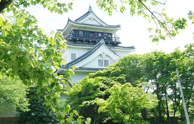 久しぶりに岡崎市へ。行こうと思いつつもなかなか行けなかったのですが、深い願い事もあり久しぶりに短時間の滞在で行ってきました。