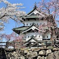 春旅　函館の桜と、弘前の桜