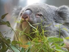 【多摩動物公園　2019/09/19】