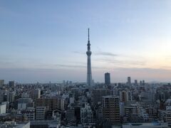 旅行記グループ 22 5 スカイツリーにディズニーシーで中華街 全5冊 旅行のクチコミサイト フォートラベル