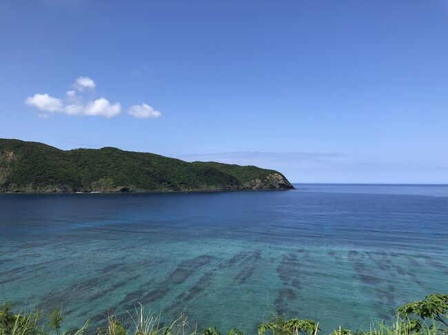ゴールデンウィーク直前に奄美大島に行きました。奄美大島の天気予報が雨だったので、毎日予報とにらめっこしていましたが、島の天気は変わりやすくあてにならないそうで、最初の2日間はくもり時々雨でしたが、行きたかった金作原もマングローブのカヌー体験も最高に楽しめました。最終日は最高の天気で青い海と空、白い砂浜も見られて、良い思い出になりました。