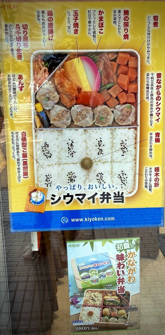 完全帰国後の日本を、興味津々で...気になるものを探して見たり...【ハナミズキ、藤棚、鯉のぼりと崎陽軒／横浜市】