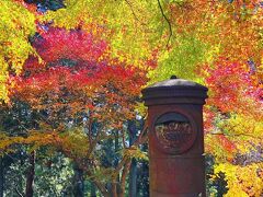 播州清水寺で紅葉見学