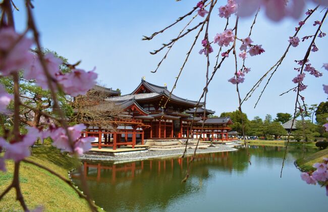 春休みに娘と出かけた京都、奈良旅行の2日目です。<br />この日は京都から奈良に移動しました。<br />午前中は宇治観光、午後は奈良の春日大社、東大寺の大仏殿、興福寺を巡りました。<br />奈良に行くのは、高校の修学旅行以来です。<br />時々、昔の記憶が蘇ってきて、なつかしい旅行となりました。<br /><br />＜旅程＞<br />1日目：　東京→京都→三十三間堂→八坂の塔→清水寺→八坂神社→祇園<br />2日目：　京都→宇治平等院鳳凰堂→奈良→春日大社→東大寺→興福寺<br />3日目：　室生寺→長谷寺→法隆寺<br />4日目：　薬師寺→唐招提寺→京都→金戒光明寺→東京