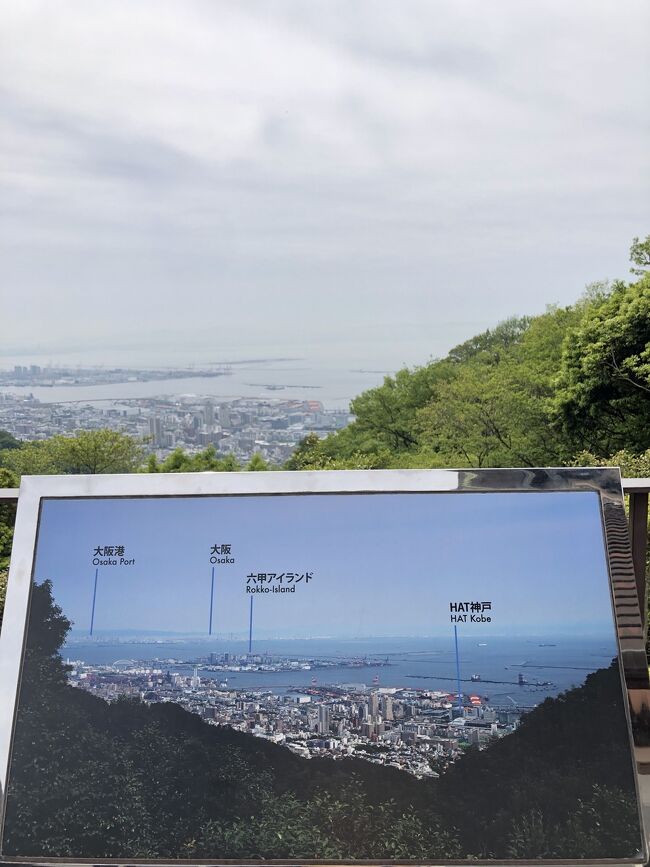 3年ぶりに何の規制もないG.W.突入!<br />神戸長期出張中の嫁さん訪ねて、まだまだ関西方面プチ観光&グルメを楽しみます(^_^)<br /><br />今回はプチ観光編は4編、グルメ編も4編アップ予定です。<br /><br />最終日は先日行けなかった布引ハーブ園を、朝一から攻めます(^_^;)