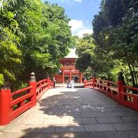 武蔵一宮氷川神社と大宮公園・スパでさっぱり日帰り散歩