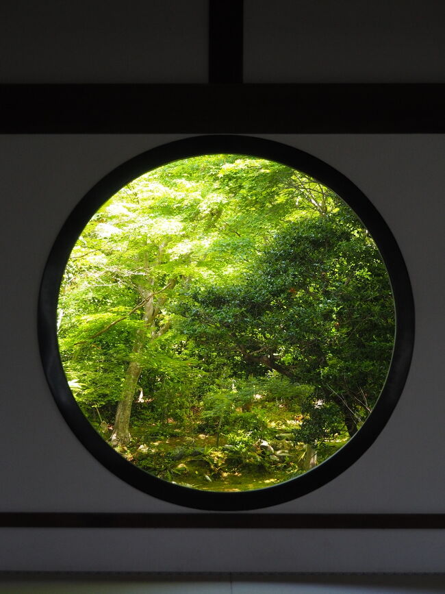京都にヒルトンの高級ラインのLXR ホテルズ&リゾーツであるROKU KYOTO,LXR HOTELS&RESORTSアジア初でオープン。<br /><br />これは行ってみたいが、お値段もかわいくなくわんこもNG。<br />でも、ヒルトンダイヤのステータスの間に行ってみたい。<br />行けるかどうかわからないけど、ヒルトンポイントはかなりあるので、GWにポイントで予約。<br /><br />予約を入れた日から行くか行かないか迷っておりましたが、2022年のGWは久々に行動制限なし。<br />なので、わんこは2泊3日のホテル生活を練習してもらうという事で、京都に行くことにいたしました。<br /><br />GWの京都は観光名所なんぞ超絶の混み具合が予想されるので、基本はホテルを楽しむ事とあまり混まないであろう洛北を少しだけ散歩すりゃ良いでしょって事にして基本いつものノープラン。<br /><br />ROKUは非常に美しいリゾートでした。<br />この時期なので青紅葉がとても綺麗でしたが、紅葉の時期に行くと最高に美しいと思います。<br />次回紅葉の時期に行ってみたいと思います。<br />でも、紅葉の時期の京都も混んでそうだあなぁ・・・<br /><br />☆旅行形態:個人旅行<br />☆交通機関:JAL<br />☆ホテル:ROK KYOTO,LXR HOTELS&RESORTS<br />☆お世話になったWeb<br />●ROKU KYOTO https://www.rokukyoto.com<br />●JAL https://www.jal.co.jp/jp/ja/<br /><br />