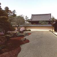 【２泊３日　春の奈良・京都　ひとり旅】十二神将と湯豆腐の巻　３日目