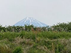 富士滞在　５月