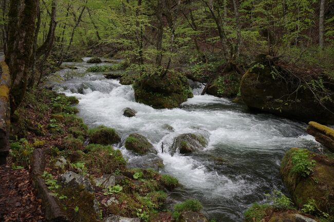 2022年4月29日～5月4日のGW期間中に東北を周遊しました。<br />近年、海外旅行が出来ない中、近場の旅行はちょこちょこ出かけていましたが、久しぶりの５泊の旅行となりました。<br />東京を起点とした約2000kmのロングドライブです。<br />今年のGWは、前半天気が悪いこともあり、半ば諦めの状態で家を出発しましたが、思った以上の天候の崩れはなく、楽しい旅行になりました。<br /><br />4/29　東京⇒猪苗代湖⇒磐梯山ゴールドライン⇒磐梯吾妻レークライン⇒磐梯吾妻スカイライン⇒山形蔵王(泊)<br />4/30　山形蔵王⇒酒田⇒秋田（泊）<br />5/01　秋田⇒十和田湖⇒奥入瀬⇒蔦温泉（泊）<br />5/02　蔦温泉⇒八戸⇒久慈⇒北山崎⇒宮古⇒盛岡（泊）<br />5/03　盛岡（泊）<br />5/04　盛岡⇒福島大久原⇒東京