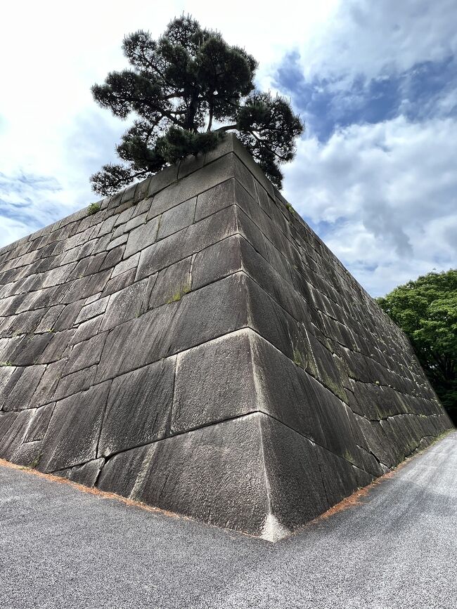 久しぶりに皇居を歩きました。<br />皇居東御苑の一般公開されているエリアを1時間半くらいかけて参観しました<br /><br />東御苑大手門<br />三の丸尚蔵館<br />同心番所<br />百人番所<br />大番所<br />富士見櫓<br />本丸天守台<br />都道府県の木<br />諏訪の茶屋<br />大手門<br /><br />写真は本丸天守台の石垣の見事な石積の様子です