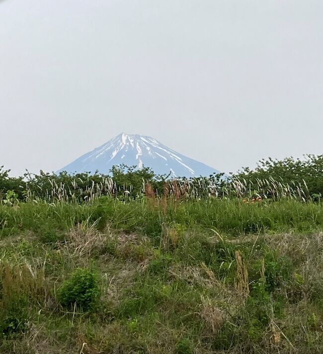 5月の富士滞在時の富士山や食べたモノ。