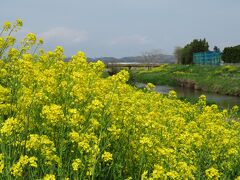 小牛田雑記