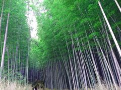 年末の京都・嵐山を散策：01松尾大社から天龍寺へ