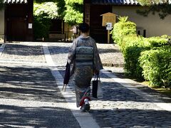 千利休 歴史探訪、大徳寺 搭頭 聚光院の特別拝観とお茶席及び興臨院の拝観と国宝指定の妙喜庵 待庵へ