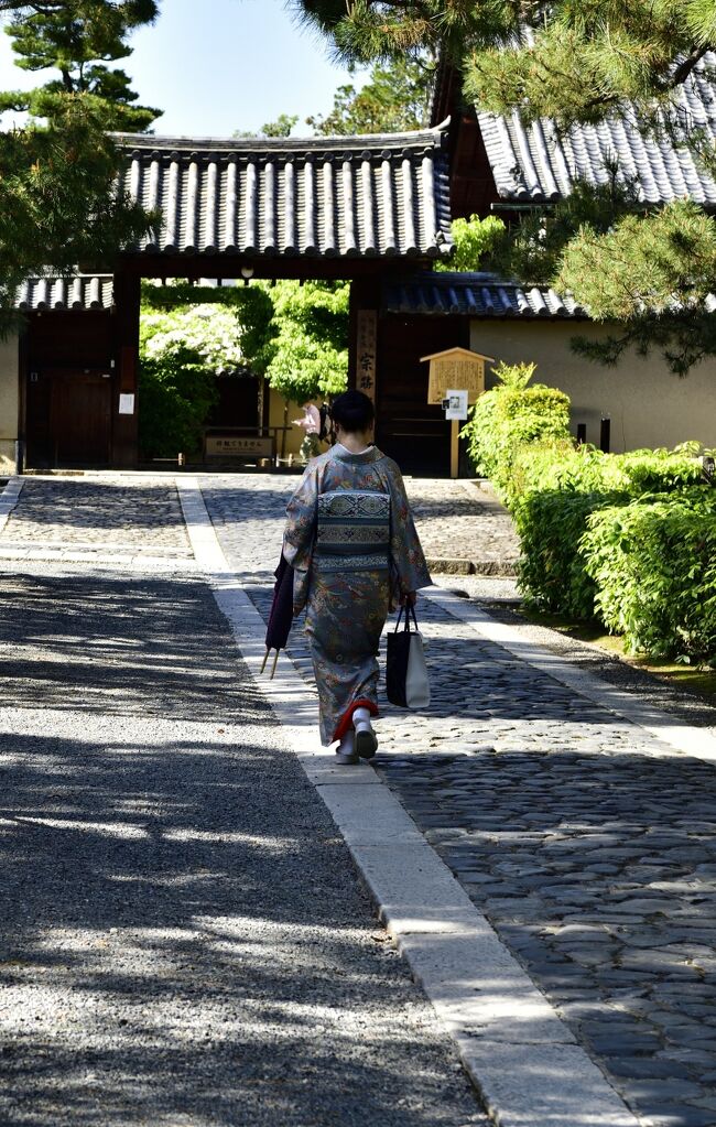 千利休 歴史探訪<br /><br />ここ最近、京都から色々と案内が来て行く機会が多く、４月、５月、７月と通ってます。2022年は山鉾巡行と神輿渡御が、3年ぶりに執り行われます。公益財団法人祇園祭山鉾連合会から葉書で案内が来たので、また泊りで行きます。山鉾巡航の観覧は実に5年ぶりとなります。<br /><br />今回は、京都春秋　ことなり塾からの案内で大徳寺 塔頭　聚光院で特別拝観とお茶席がある事を知り、応募して当選したので行くことにしました。我が家は表千家なので、他の流派はよくわかりませんが、母から教えて貰ったお作法でお茶席に臨みましたが、お茶事とは違うので普段着の格好で行き、中には着物姿の女性が５名いらっしゃいました。男性は洋服でしたが、女性の着物姿はやはり似合います。<br /><br />聚光院のお茶席は、2022年4月23日（土）、30日（土） 14:00 ～ 15:10、15:30～16:40 開催<br />1席15名限定の2回、4月30日も同じく1席15名限定の2回の特別拝観とお茶席と言う非常に狭き門でした。時間は14時と15時半で私は15時半なので、ゆっくりと大徳寺へ行けました。<br />茶道をしている方なら、東海道新幹線の往復の交通費払っても行く価値がある事わかると思います。<br />また聚光院に詳しいスタッフによる境内解説の後、千住博筆『滝』が納められている書院でお茶席、薄茶と嘯月さんの上生菓子を頂きました。<br />また今年は千利休 生誕500年でもあり、節目の年に行けたことを嬉しく思いました。<br /><br />聚光院は千利休の菩提寺でもあり、茶道三千家(表千家・裏千家・武者小路千家) ゆかりの寺院として知られておりますが、通常は拝観謝絶の場所なので中に入る事は許されません。<br /><br />４/30の午前中は西芳寺と鈴虫寺へ行き、午後は大徳寺、伏見稲荷、先斗町、祇園へと足を運びました。<br />翌日5/1は兼ねてより行きたかった、千利休が作った茶室（現存している茶室は山崎にある国宝指定の妙喜庵 待庵）のみで土砂降りの中行きました。待庵は、愛知県犬山市の如庵・京都市大徳寺の密庵とともに国宝三茶室に数えられています。<br /><br />大徳寺 搭頭　聚光院<br />狩野永徳・松栄親子が描いた本堂障壁画は全て国宝（現在は高精細複製画）に指定され、千利休 作庭と伝わる方丈庭園  (枯山水庭園)『百積の庭』は国の名勝に指定され、表千家より寄進された茶室「閑隠席」「枡床席」は共に国の重要文化財に指定されています。特に閑隠席は千利休 150回忌の際に、表千家 7代目 如心斎の寄進によって建てられたものです。<br />当日は本堂障壁画は高精細複製画でしたが、[ 国宝里帰りの特別公開　2022年9月3日～2023年3月26日 ] 本物が9月に帰郷し特別公開されるみたいですが、複製でも素晴らしです。<br /><br />また表千家より寄進された茶室「閑隠席」「枡床席」も見ることができましたが、聚光院内及び妙喜庵も全て撮影禁止なので、参考資料と写真は [京都春秋 ことなり塾] 様及び [妙喜庵] 様 からの引用となります。<br />聚光院は永禄９年（1566年）、戦国武将の三好義継が養父・長慶の菩提を弔うために創建されました。<br />開祖である笑嶺宗訢が千利休 参禅の師であったことから、利休は聚光院を自らの菩提寺とし、その後、利休の流れを汲む茶道三千家（表千家・裏千家・武者小路千家）歴代の墓所ともなっています。<br /><br />茶室「閑隠席」<br />聚光院と茶道三千家の関わりを最も如実に伝えるのが、「閑隠席」「枡床席」の二つのお茶室です。特に閑隠席は千利休 150回忌の際に、表千家 ７代目 如心斎によって建造し、ここで朝茶が開かれたことが記録にも残っています。千利休の精神と侘び茶を最大限に表現し、明かりが極度に制限され、簡素で緊張感のある設えが施されています。 妙喜庵の待庵も翌日拝観しましたが、ここはここで味わい深い茶室です。明るさで比較すると閑隠席の方が暗いです。<br /><br />千住博 画伯 (滝) の絵がある大広間<br />千住博 (滝) 平成25年（2013）に落慶した聚光院書院には、東京国際空港第２ターミナルやAPEC JAPAN 2010の首脳会議に作品が展示されるなど、世界的に活躍する日本画家・千住博画伯の障壁画『滝』が納められています。 <br /><br />参考資料及び文献と写真<br />京都春秋　ことなり塾<br />https://kotonarijuku.kyotoshunju.com/<br />https://kotonarijuku.kyotoshunju.com/experience/297.html<br />妙喜庵<br />https://www.kyoto-kankou.or.jp/info_search/?id=3221&amp;r=1656072468.2777<br />山崎観光案内所<br />https://oyamazaki.info/archives/761