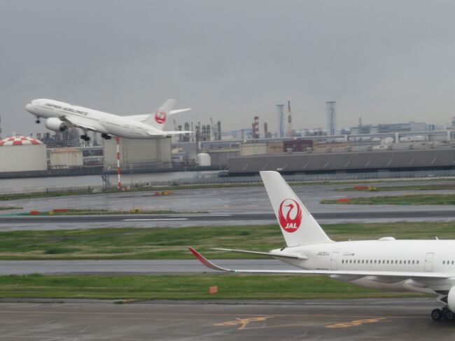 ロードスターを借りて沖縄本島を一周する旅を楽しみました。<br /><br />【東京ー那覇ー古宇利島】ーオクマー糸満ー那覇ー東京<br /><br />《2022年》<br />★4/30蒲田【ホテルアマネク蒲田駅前泊】<br />★5/1羽田14:50発ー那覇17:30着(JL919)【Mr.KINJO in MIEGUSUKU泊】<br />★5/2古宇利島ー美ら海水族館ー【アレッタ古宇利リゾート泊】<br />☆5/3古宇利島【アレッタ古宇利リゾート泊】<br />☆5/4オクマ【オクマ プライベートビーチ&リゾート泊】<br />☆5/5糸満【サザンビーチホテル&リゾート沖縄泊】<br />☆5/6糸満【サザンビーチホテル&リゾート沖縄泊】<br />☆5/7那覇12:15発ー羽田14:40着(JL906)<br />