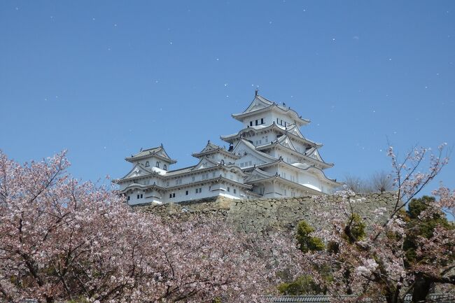 飛行機に乗りたい、しかもLCCに乗ってみたい!<br />という、わたしくしのワガママから始まった旅です。<br />初LCC搭乗となりました。<br /><br />神戸はホテルの朝食ビュッフェも人気らしいので、<br />折角だからいつもよりちょっと良いホテルに泊って<br />ゆっくりのんびり行きましょうという2泊3日になりました。<br /><br />1日目はお城をめぐります。